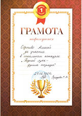 Грамота_Сэрпиво Алексей_Родной язык - душа народа_Участник.jpeg