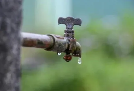 The miracle of water culture