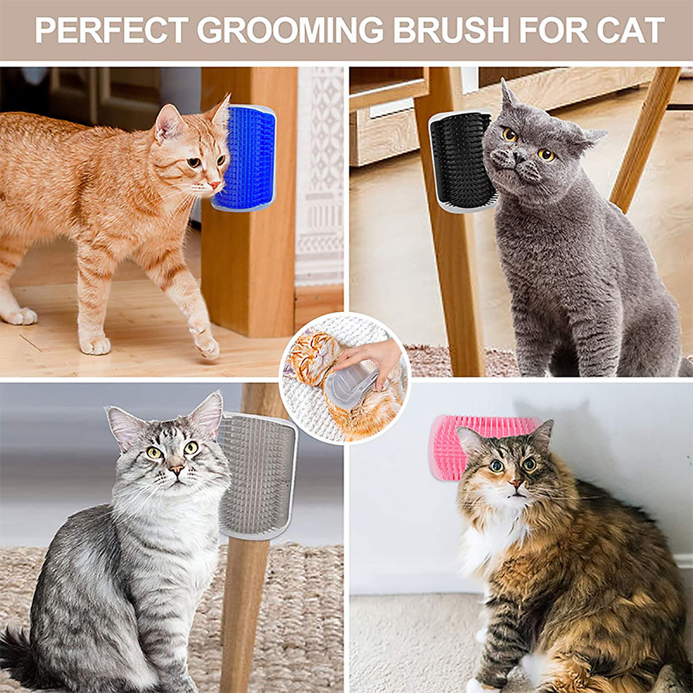 Miniature : Brosse massante pour chat