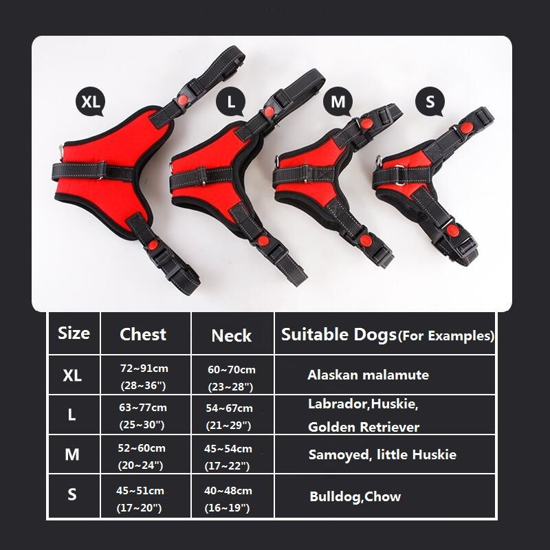 Miniature : Harnais renforcé en nylon pour chien