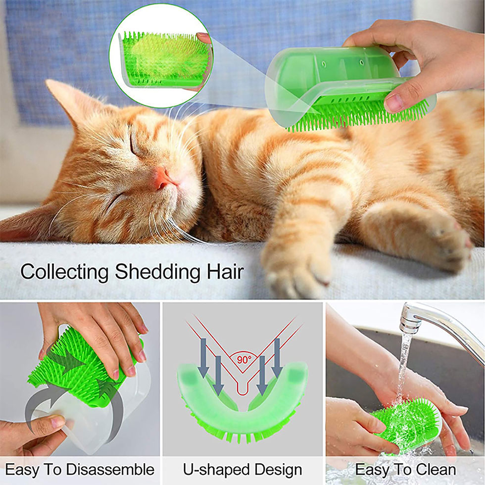 Miniature : Brosse massante pour chat
