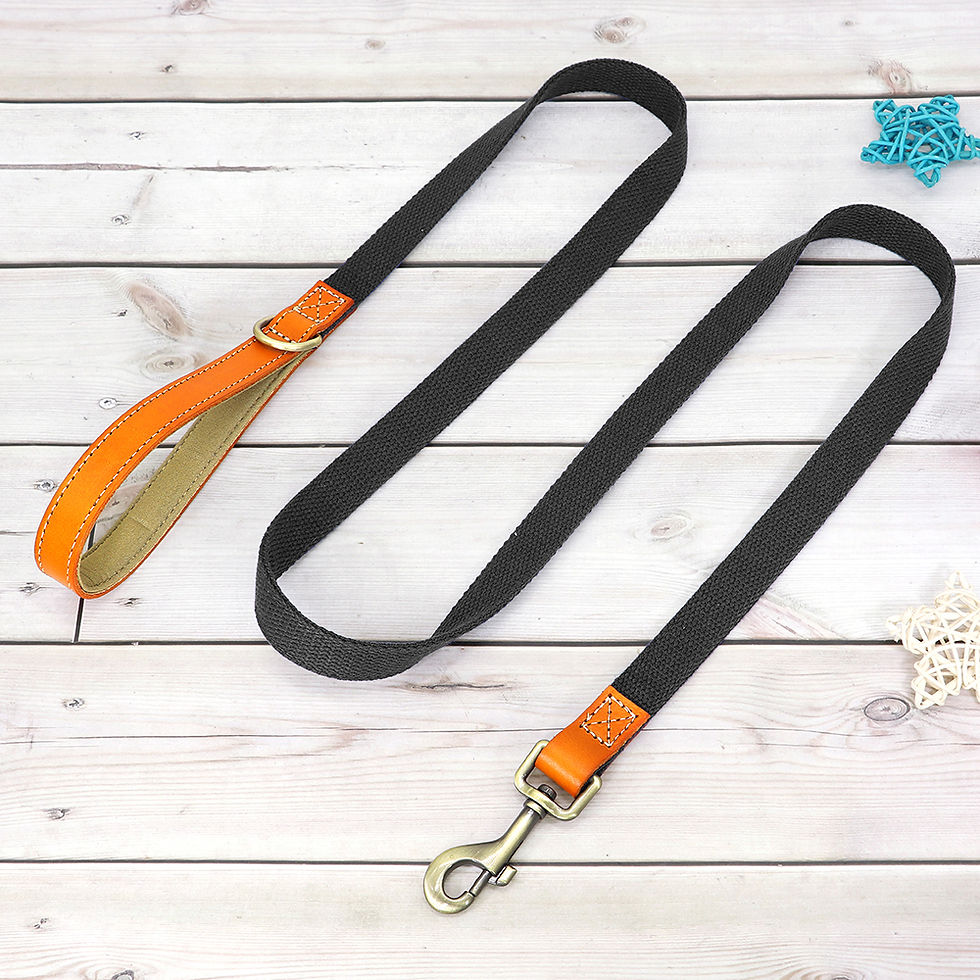 Miniature : Collier & Laisse personnalisés pour chien – Classe, confort et gravé