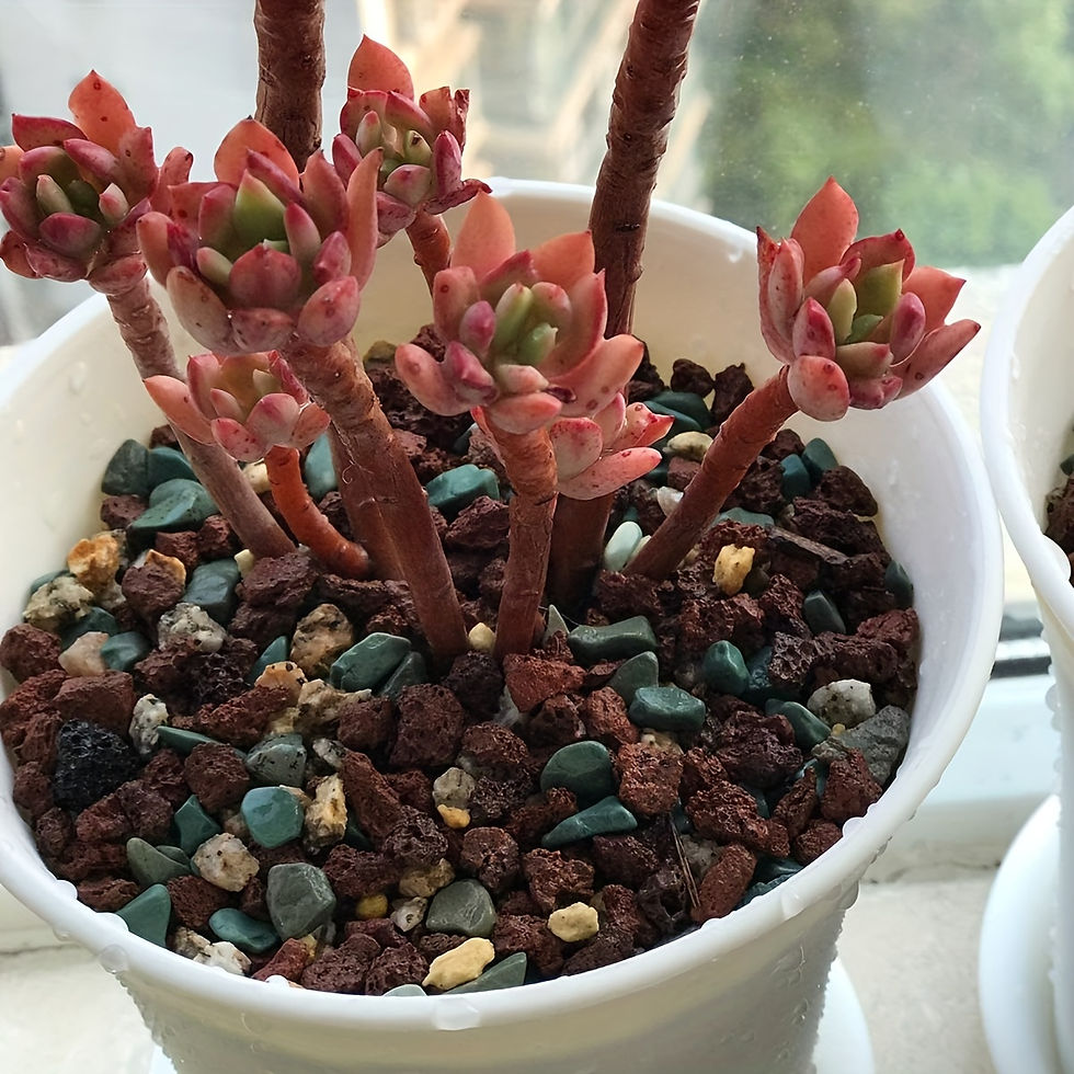 Miniature : Natural Small Colored Stone, Aquarium Decoration Stone, Mix Horticultural Lava R