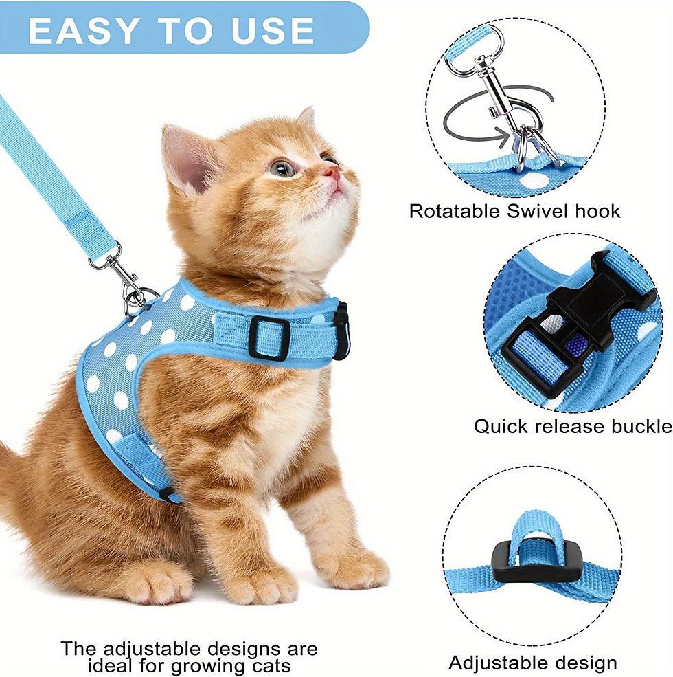 Miniature : 3pcs Set Soft Cat Harness And Leash Collar Set Pet Harness For Kitties Puppies S
