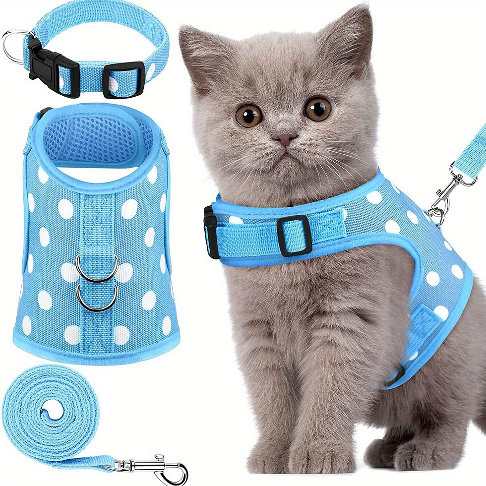 Miniature : 3pcs Set Soft Cat Harness And Leash Collar Set Pet Harness For Kitties Puppies S