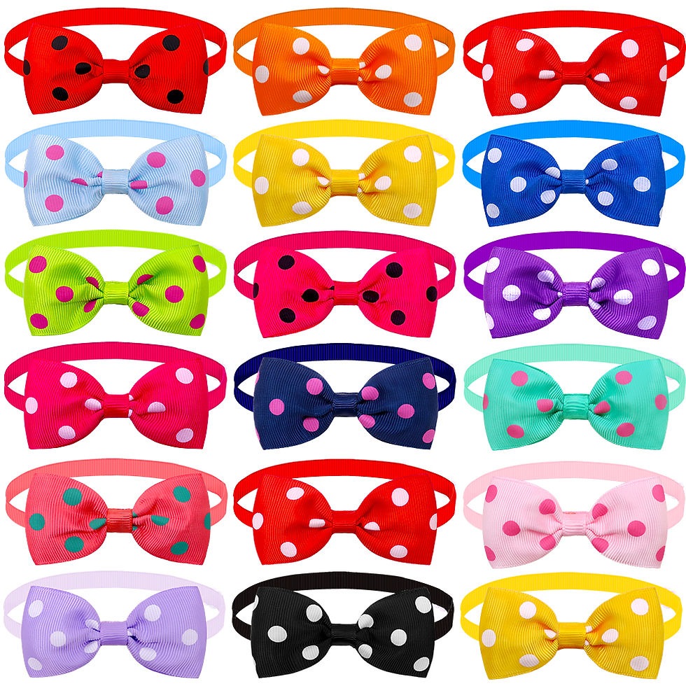 Miniature : Lot de 20 nœuds papillon pour chien & chat