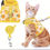Miniature : 3pcs Set Soft Cat Harness And Leash Collar Set Pet Harness For Kitties Puppies S