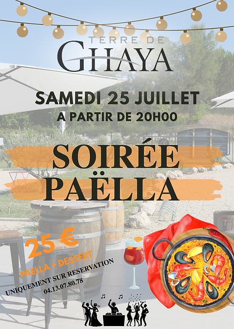 Copie de DOMAINE TERRE DE GHAY A.png
