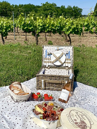 Pique-nique dans les vignes sud de la France