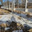 Thumbnail: Commercial & Government Boardwalks