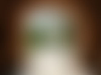 The False Economy of "Faster": Why University Remains the Only Viable Pathway for Global Ambition