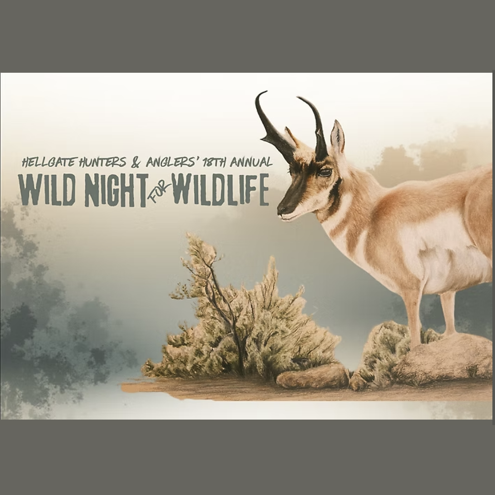 Wild Night for Wildlife