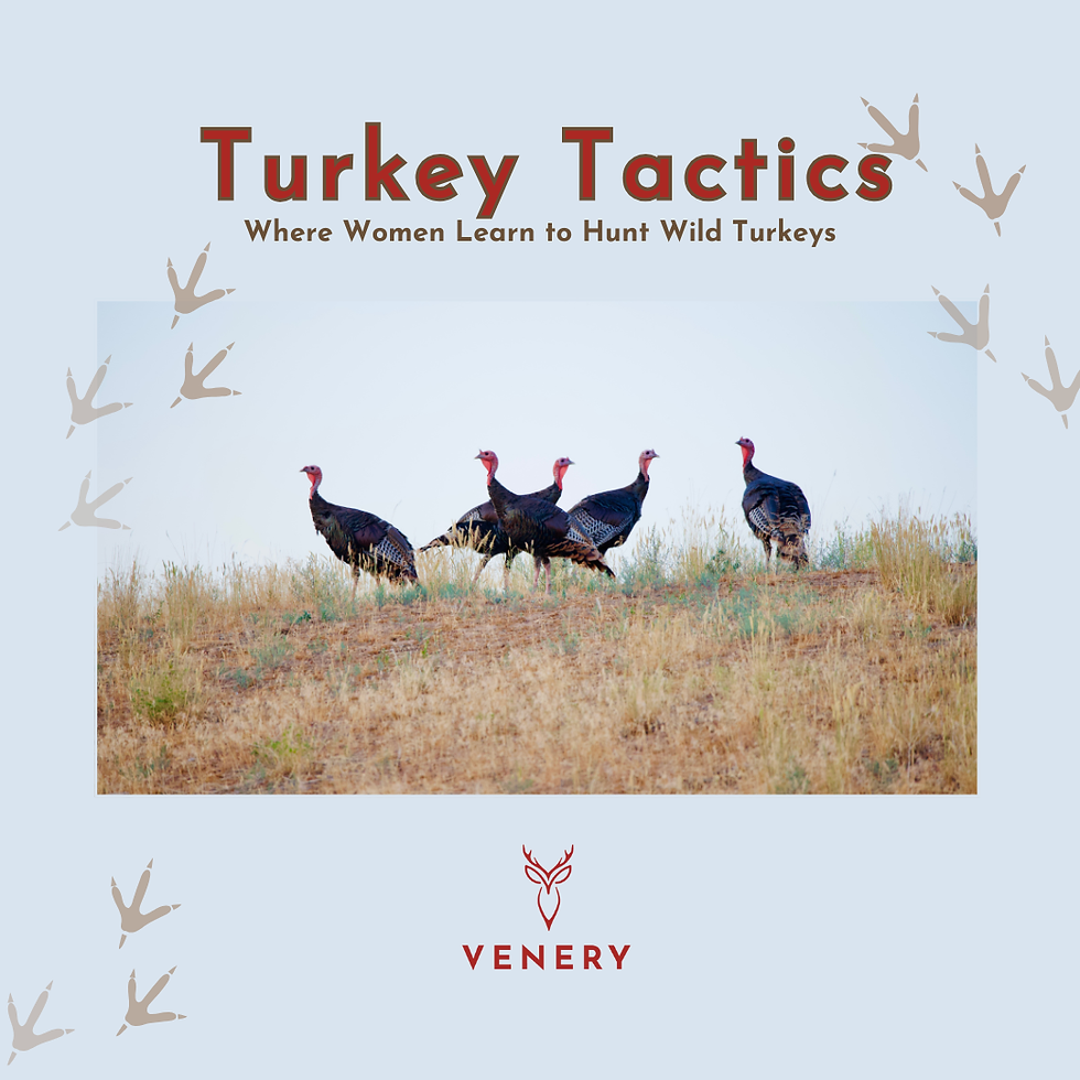 Turkey Tactics