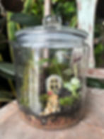 Make A Terrarium Workshop