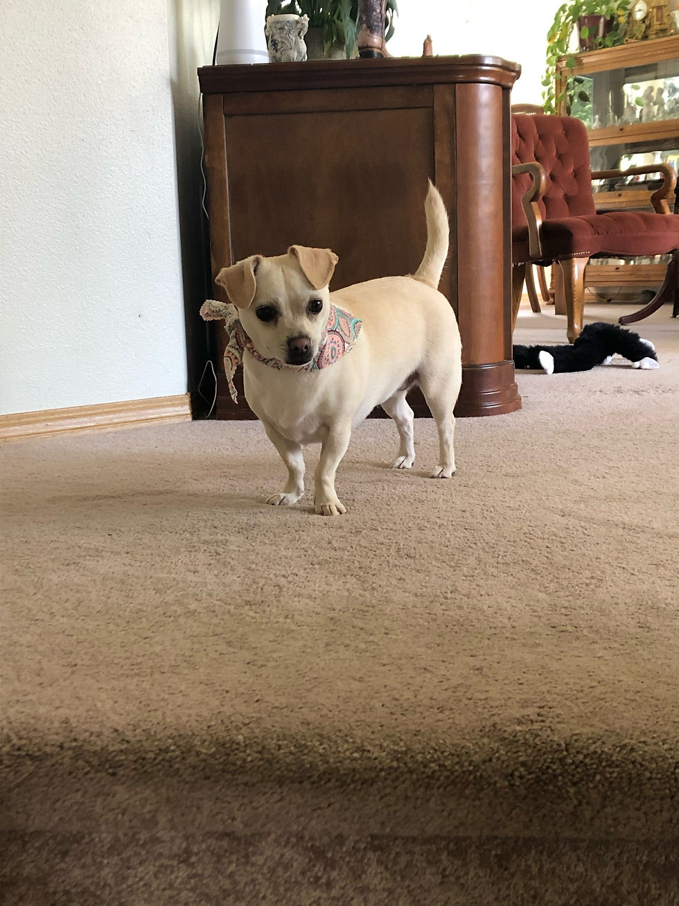 Ellie 2