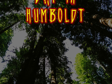 A Fine Summer Day in Humboldt Now on Kindle