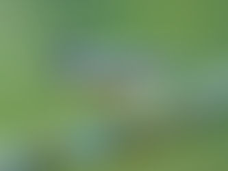 La p’tite Josette n’a pas eu le temps de zinzinuler. Elle est partie avant…