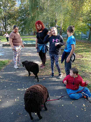 Bezva odpoledne s beránky ŠD Škarabelova 🐑