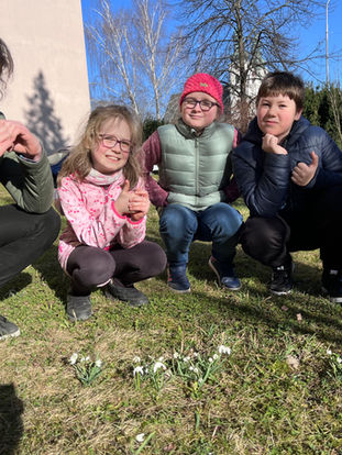 Hledání prvních jarních květů