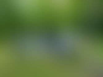 Environmentální výchova v praxi