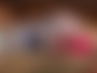 Ptačí hodinka aneb sčítání ptáků na krmítku