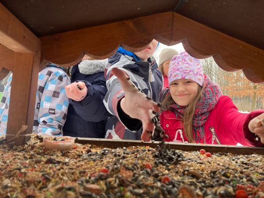 Ptačí hodinka aneb sčítání ptáků na krmítku