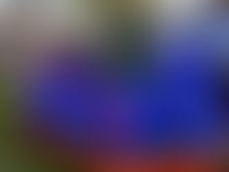 Locação de Futebol de Sabão e Tobogã em Barueri