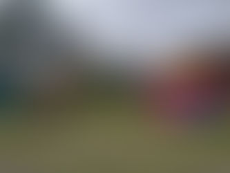 Aluguel de Brinquedos para festas na Lapa SP