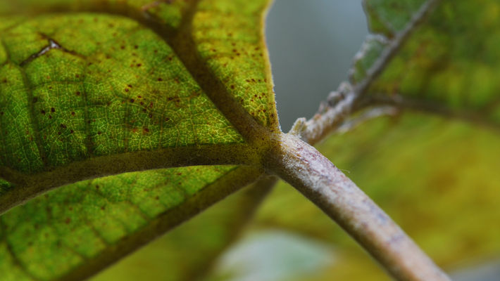 DSC_0032.JPG