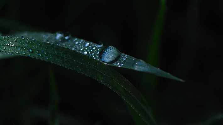 DSC_0084.JPG