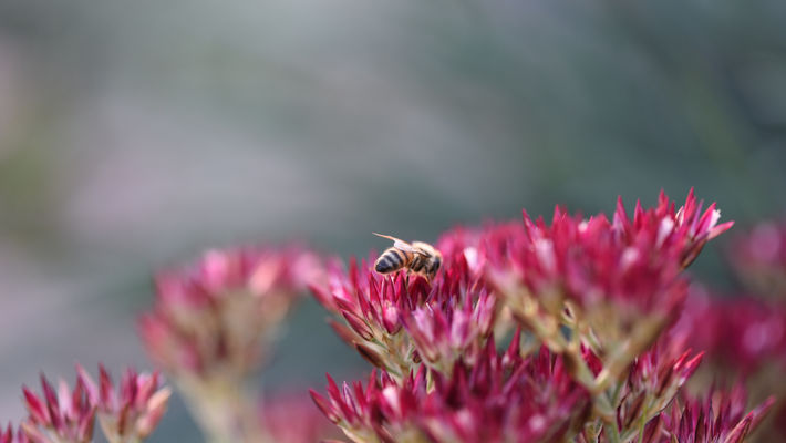 DSC_6935.JPG