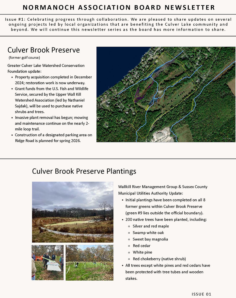 Normanoch Association Board Newsletter - Issue 1 _Page_1.jpg