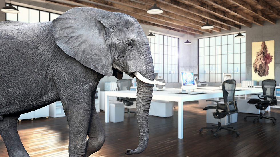 An elephant standing in a bright open-plan office, a visual metaphor for poor sleep as the unspoken issue at work.