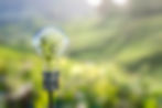 green bulb.jpg