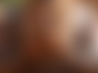 African & African American Spiritual Traditions Taking A Stand