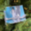 Holiday CDs Bundle - Autographed