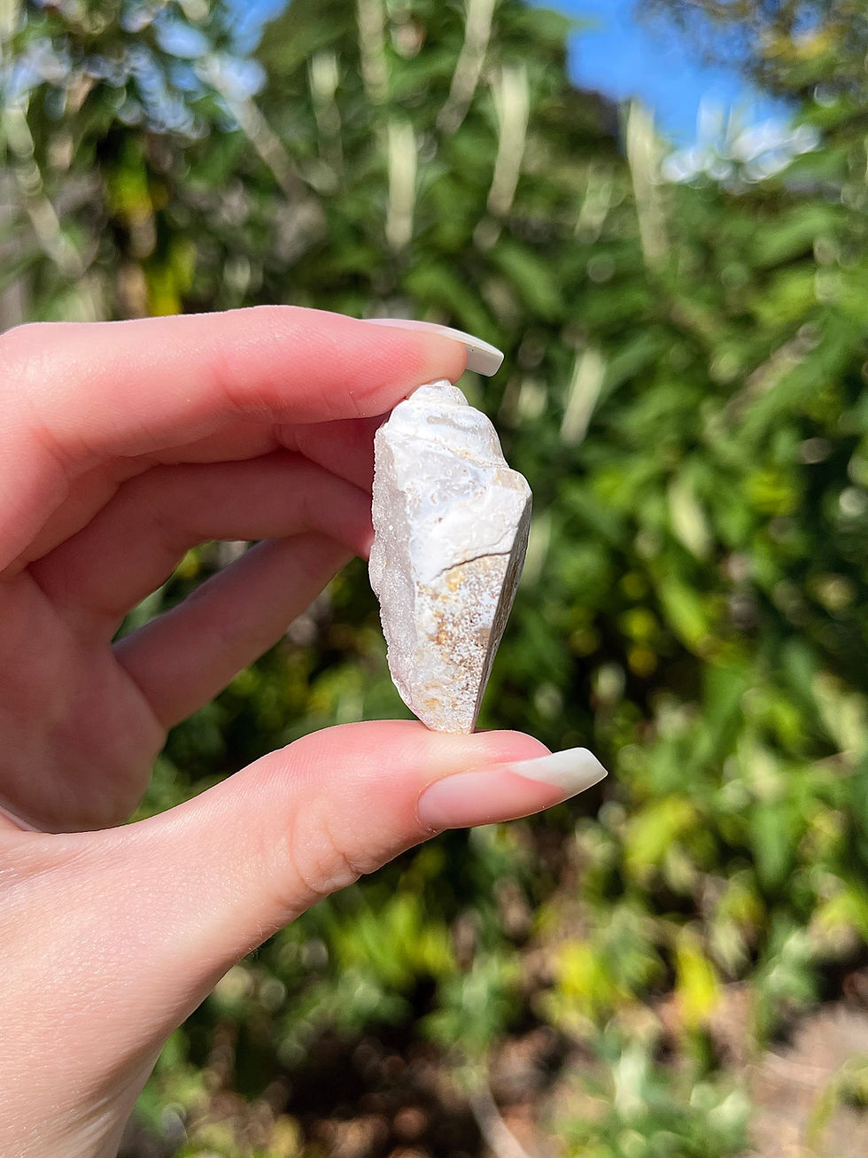 Thumbnail: crystallised shell