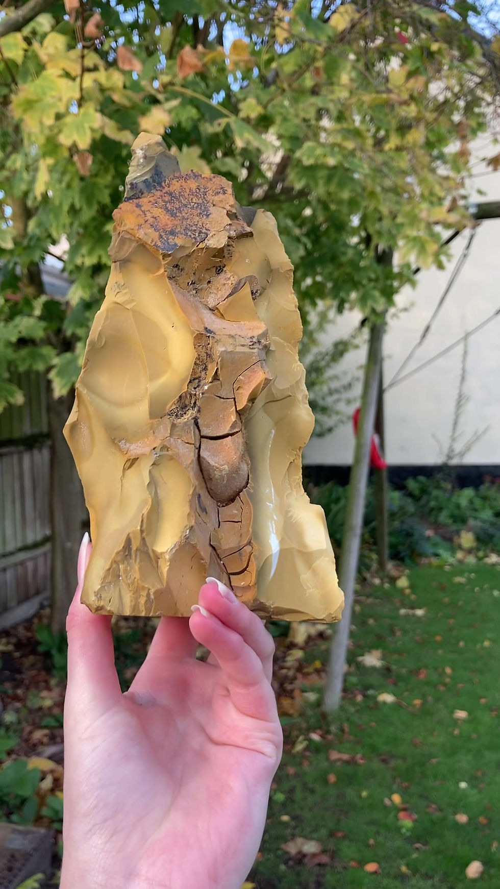 Thumbnail: mookaite raw freeform with dendritic inclusions