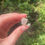 Thumbnail: Gem kunzite specimen 7 - AA grade
