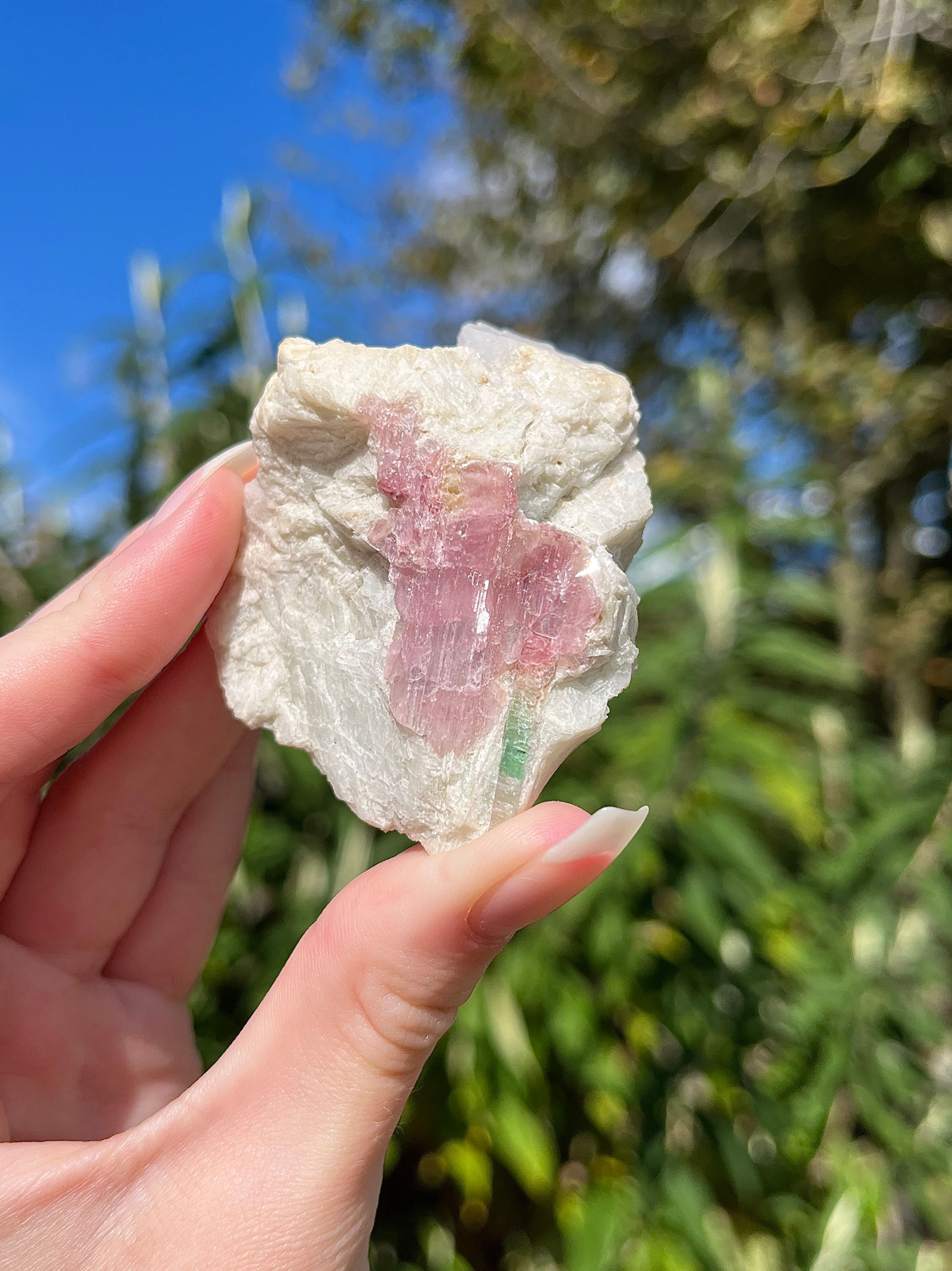 bicolour tourmaline in matrix