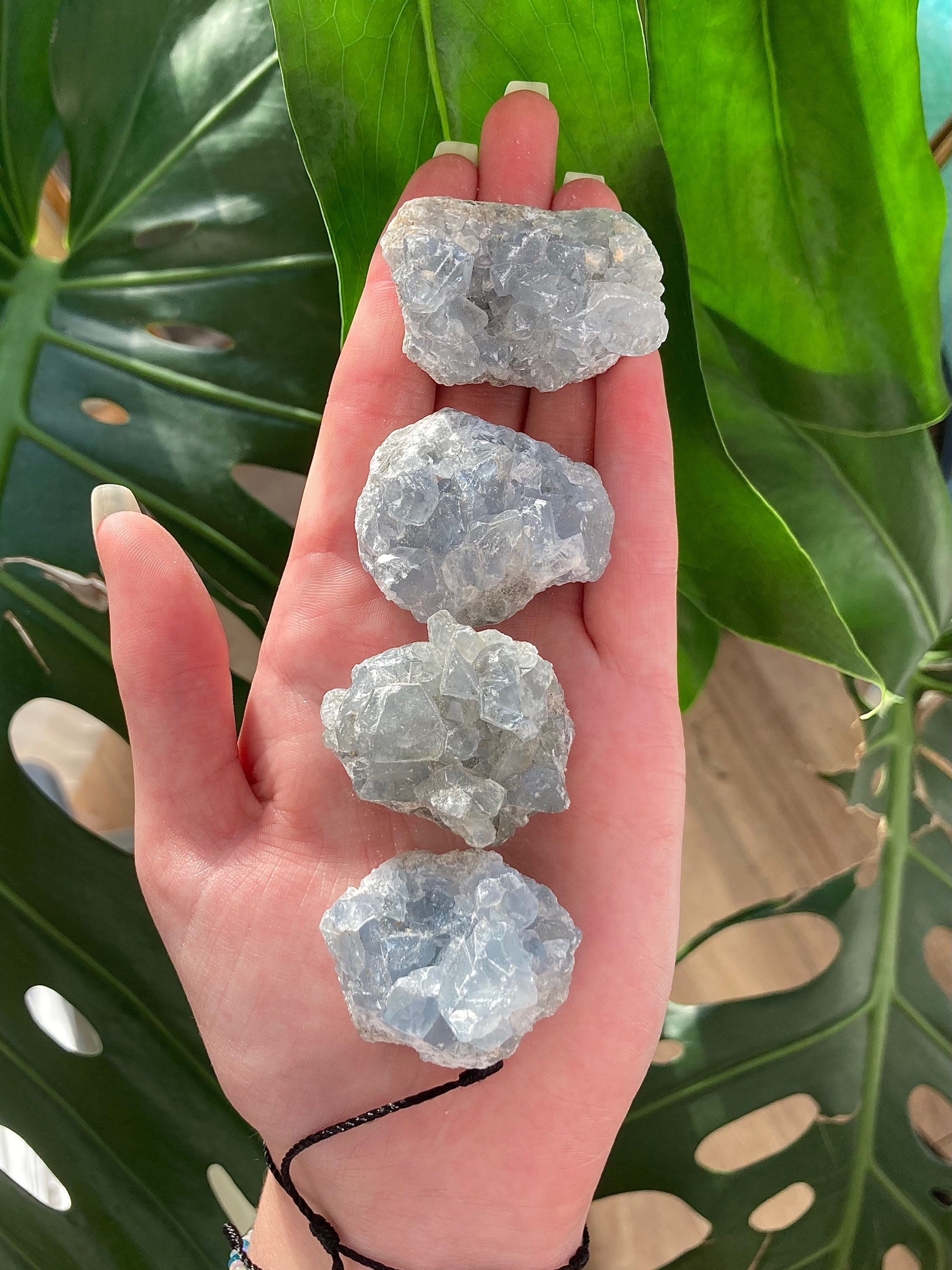 celestite clusters M
