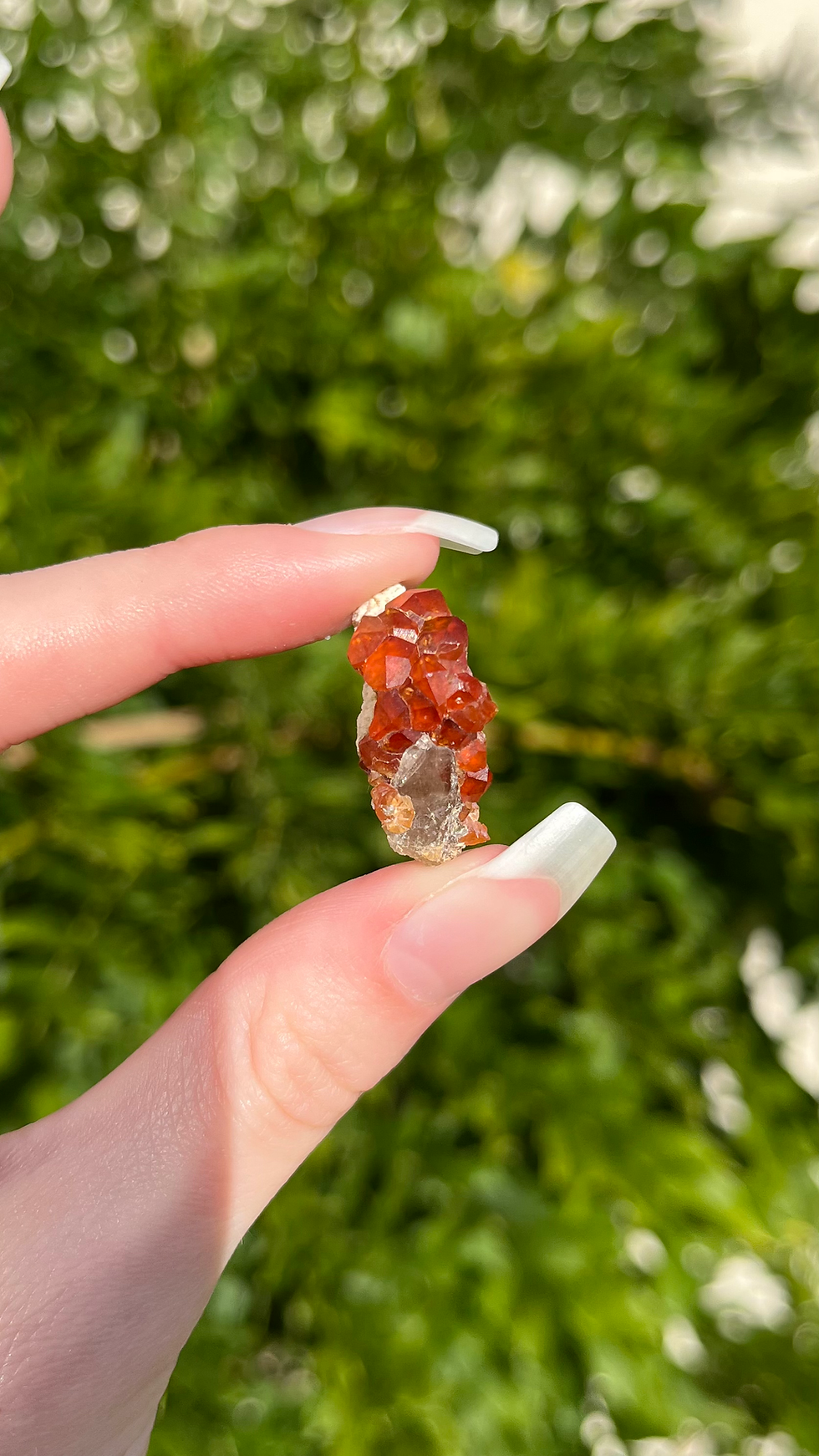 Spessartine garnet specimens A-B