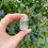 Thumbnail: clear quartz tower 13