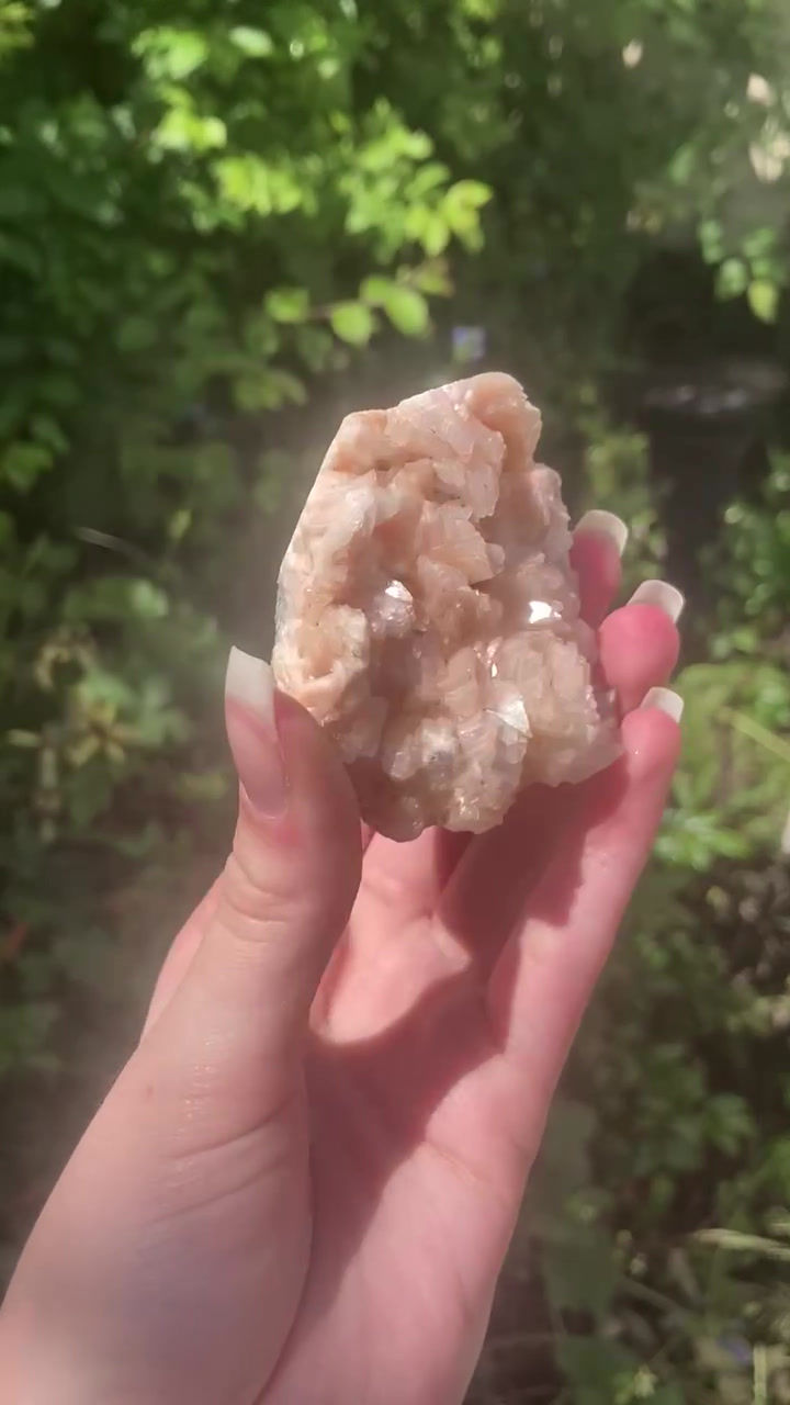 Thumbnail: stillbite cluster 21