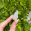 Thumbnail: dumortierite in quartz A-E