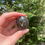 Thumbnail: labradorite pebble 10 A - AAA grade