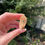 Thumbnail: kundalini citrine cluster 9