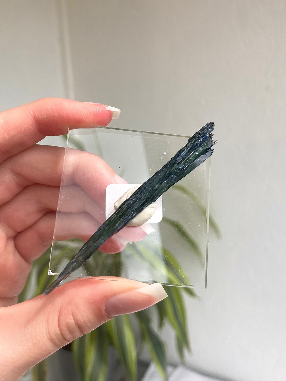 Thumbnail: vivianite specimen