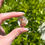 Thumbnail: inclusion quartz A+ grade A-D