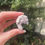 Thumbnail: Vera Cruz amethyst geodes 11